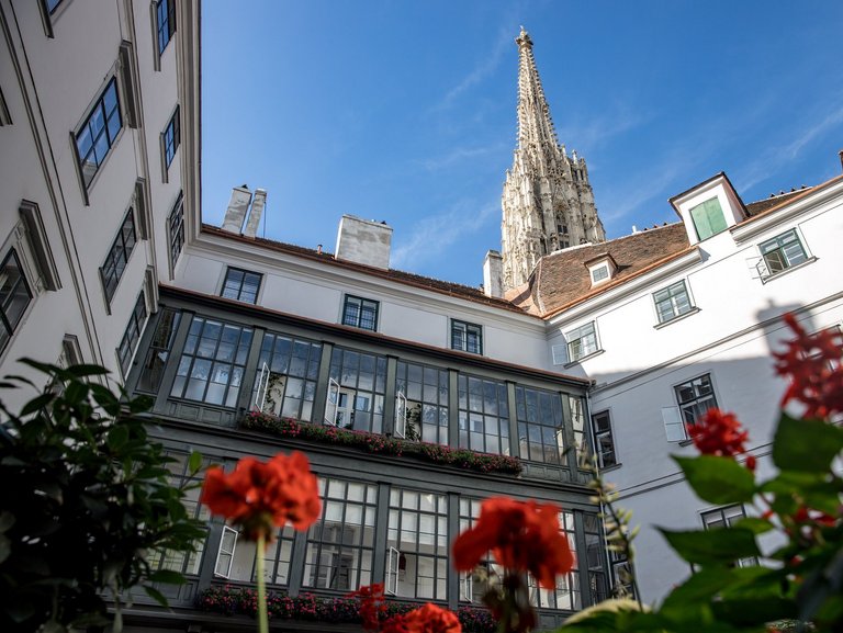 Dom im Hintergrund aus dem Innenhof heraus fotografiert - im Vordergrund rote Blumen